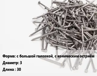 Гвоздь с большой головкой, с коническим остриём 3х30 оцинкованный винтовой